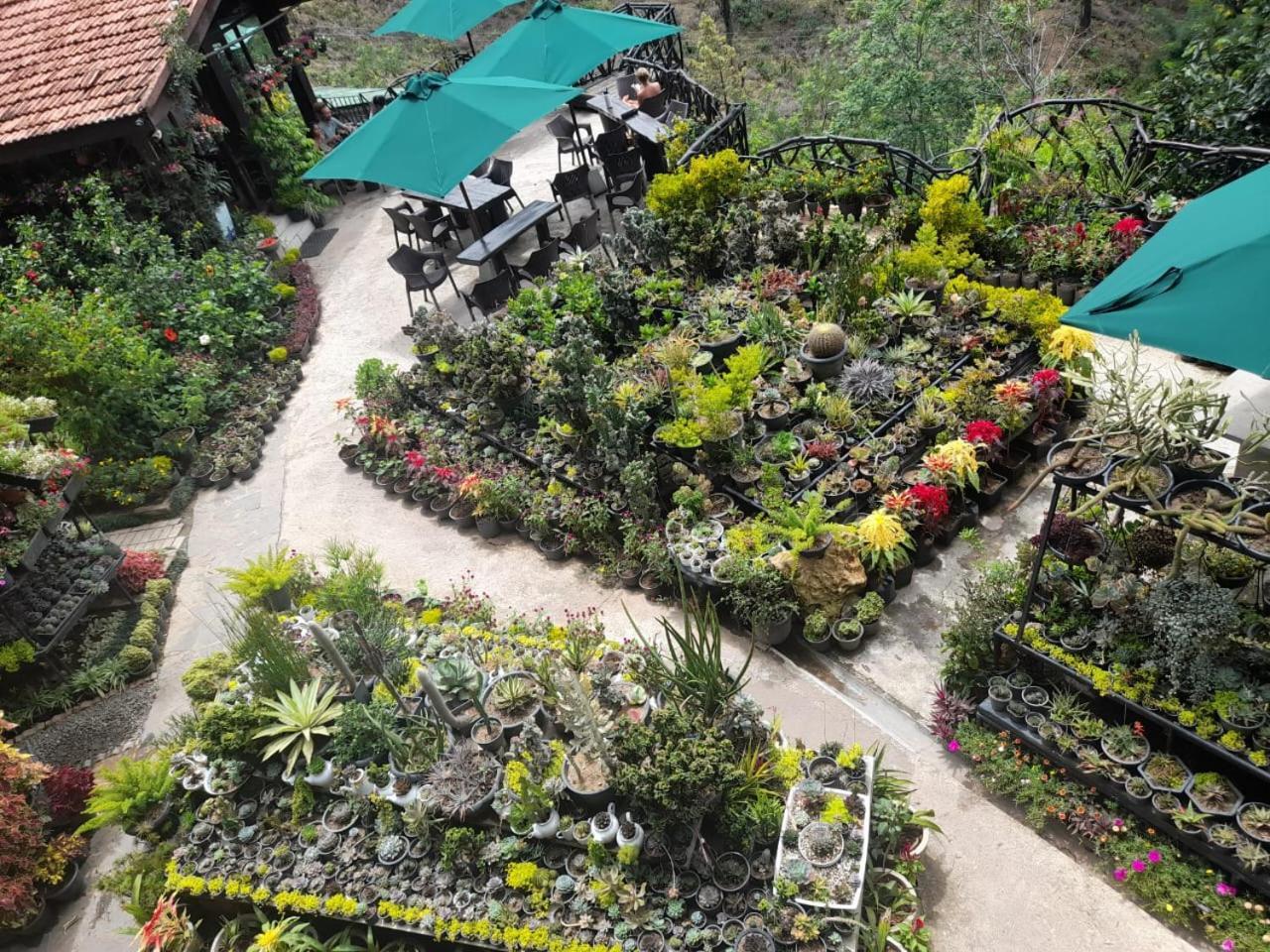 Ella Flower Garden Resort מראה חיצוני תמונה