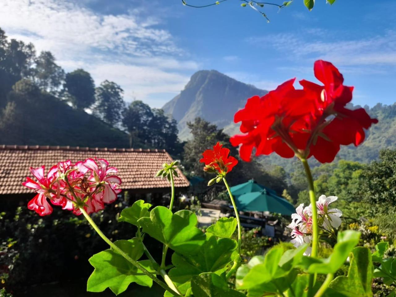 Ella Flower Garden Resort מראה חיצוני תמונה
